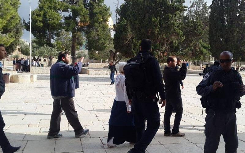 بالصور: مستوطنون يقتحمون الأقصى وسط حراسة مشددة