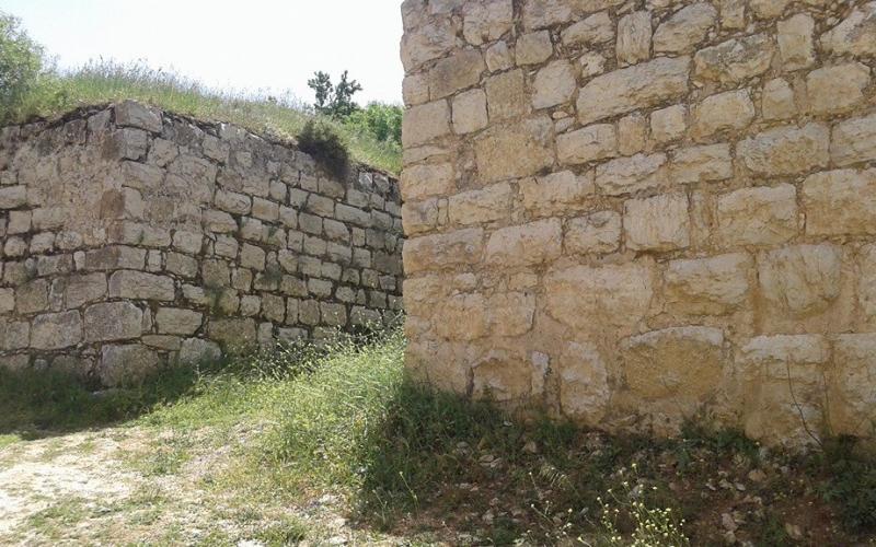 صور: جولة في مسار النبي العمري بالخليل