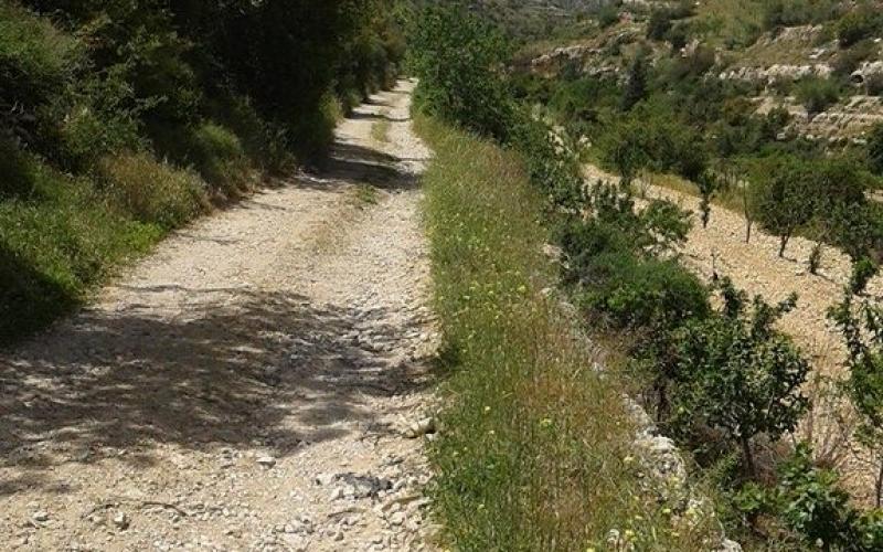صور: جولة في مسار النبي العمري بالخليل