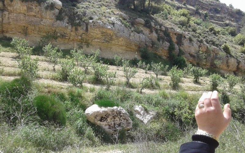 صور: جولة في مسار النبي العمري بالخليل