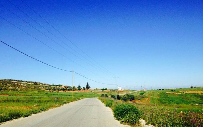 صور: ربيع فلسطين ببلدة قبلان في نابلس