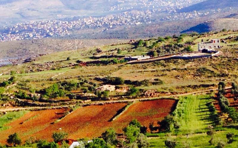 صور: ربيع فلسطين ببلدة قبلان في نابلس