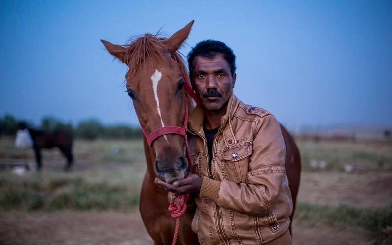صور: تربية الخيول عشقٌ متوارث
