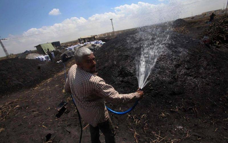 صور: إنتاج الفحم الطبيعي شرق مدينة ‫غزة‬
