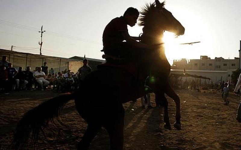 صور.. "قعدة عرب" في ذكرى النكبة