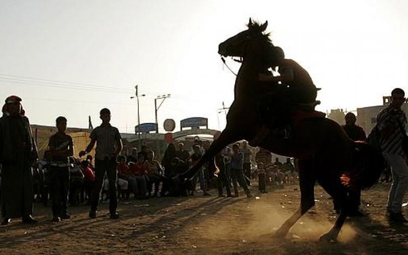صور.. "قعدة عرب" في ذكرى النكبة