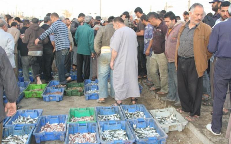 صور: حسبة السمك بغزة