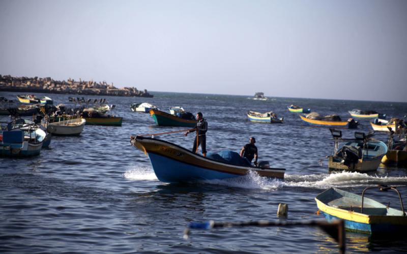 صور: صيادو غزة بعد فتح مساحة الصيد