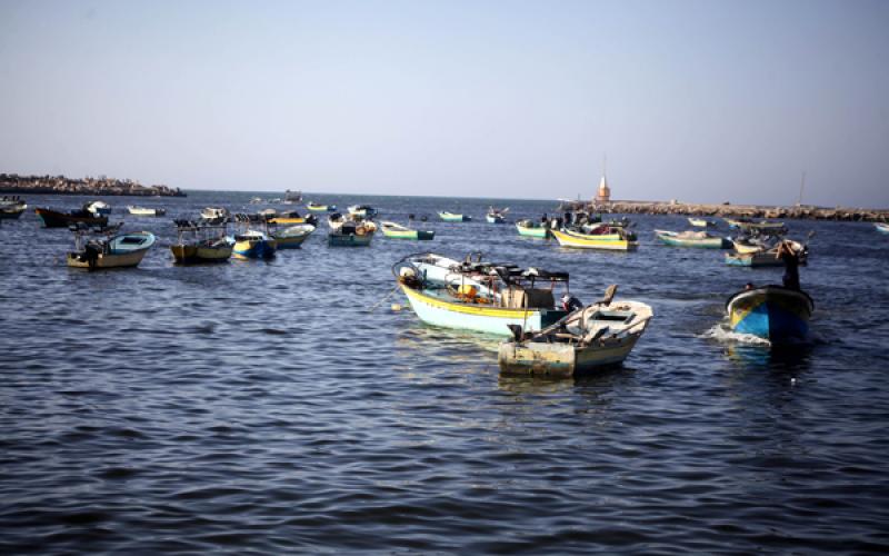 صور: صيادو غزة بعد فتح مساحة الصيد