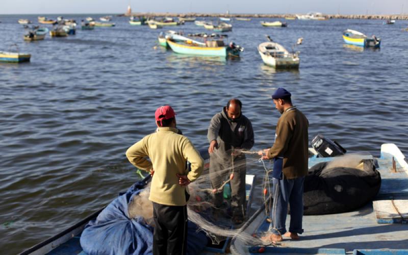 صور: صيادو غزة بعد فتح مساحة الصيد