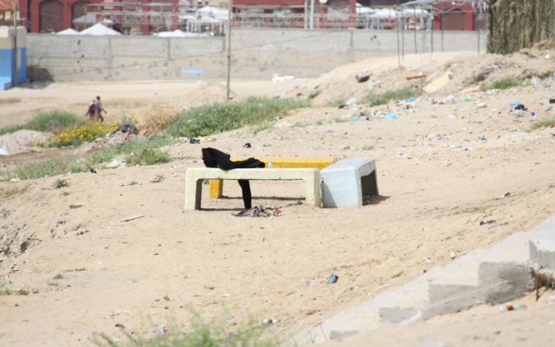 بالصور: مظاهر تنغّص صيف المصطافين
