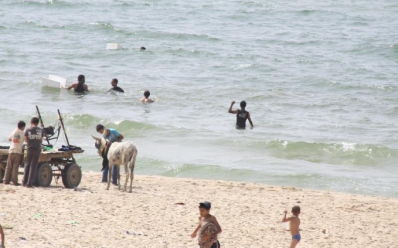 بالصور: مظاهر تنغّص صيف المصطافين