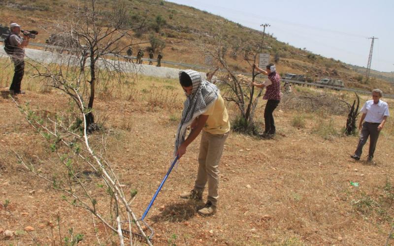 صور .. " مسيرة النبي صالح" دفاعا ً عن الأرض