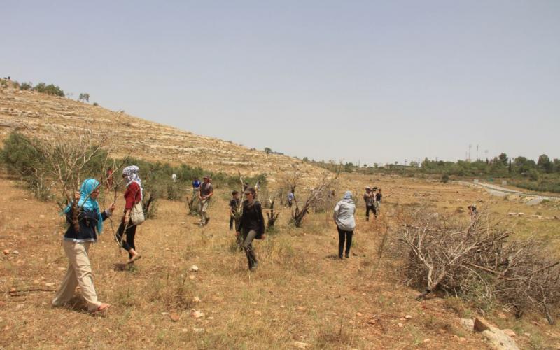 صور .. " مسيرة النبي صالح" دفاعا ً عن الأرض