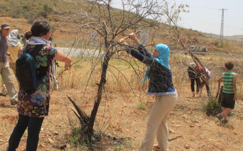 صور .. " مسيرة النبي صالح" دفاعا ً عن الأرض