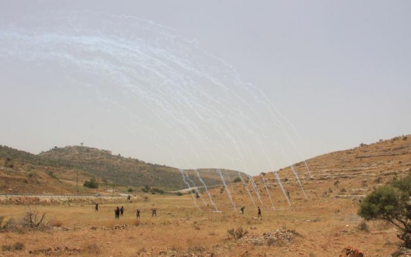 صور .. " مسيرة النبي صالح" دفاعا ً عن الأرض