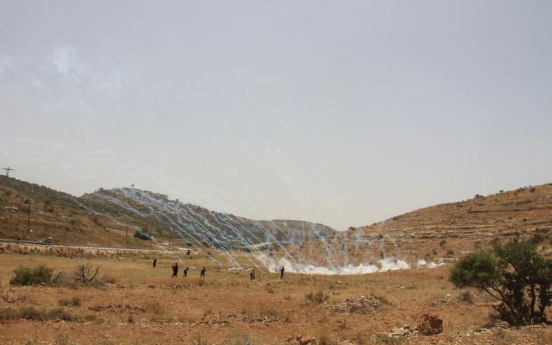 صور .. " مسيرة النبي صالح" دفاعا ً عن الأرض