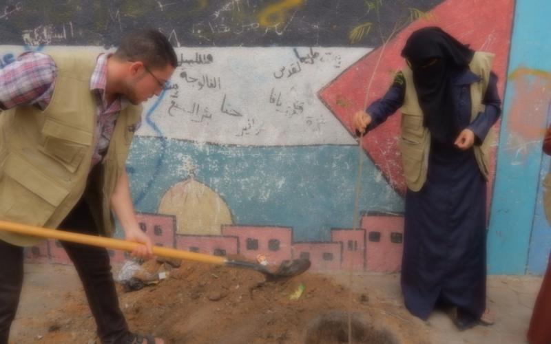 بالصور: بلدية البريج تنفذ حملة لتشجير المخيم