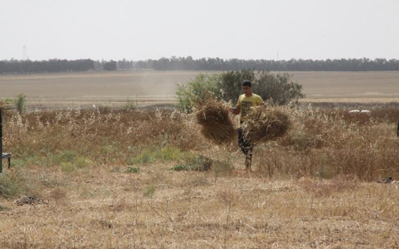 صور: المواطنون يمارسون أعمالهم قرب الحدود