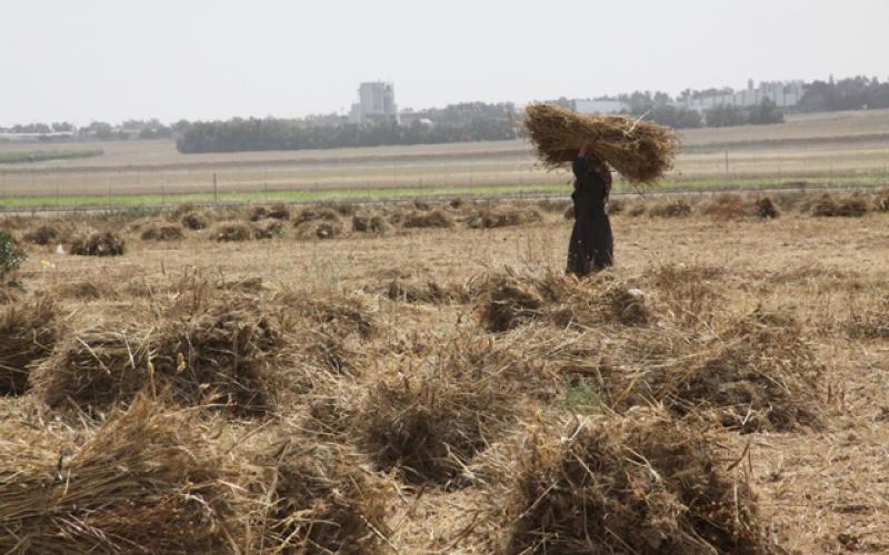 صور: المواطنون يمارسون أعمالهم قرب الحدود
