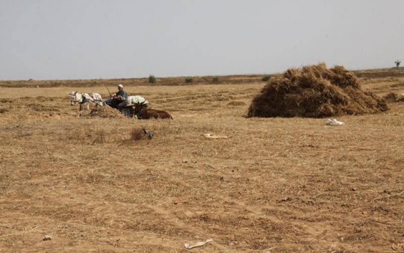 صور: المواطنون يمارسون أعمالهم قرب الحدود