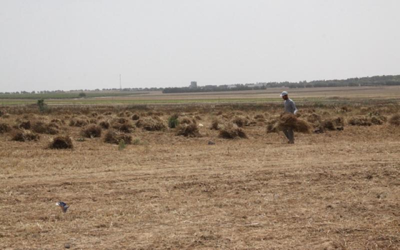 صور: المواطنون يمارسون أعمالهم قرب الحدود