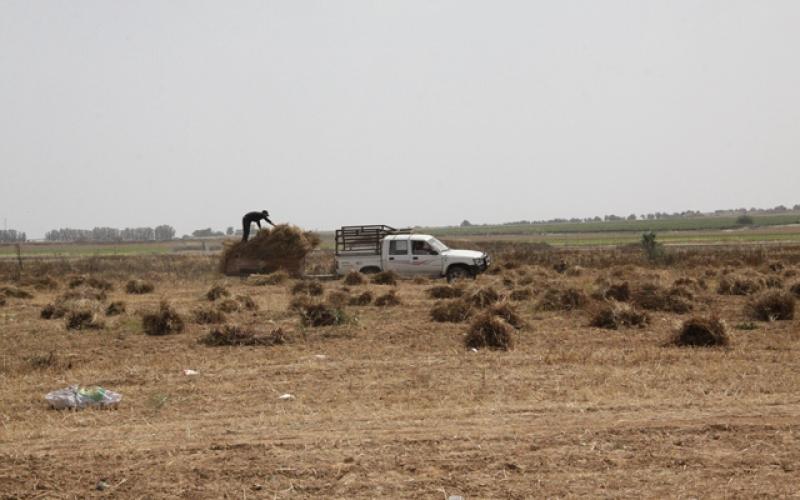 صور: المواطنون يمارسون أعمالهم قرب الحدود
