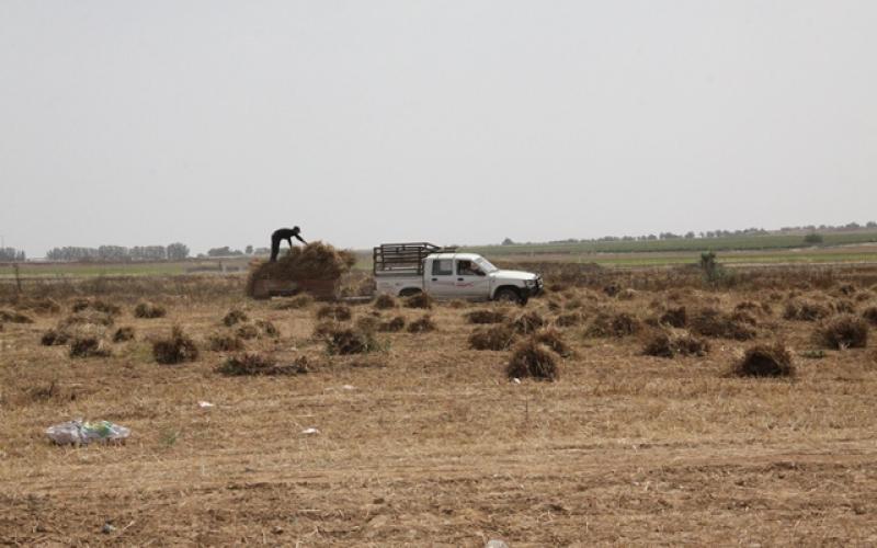 صور: المواطنون يمارسون أعمالهم قرب الحدود