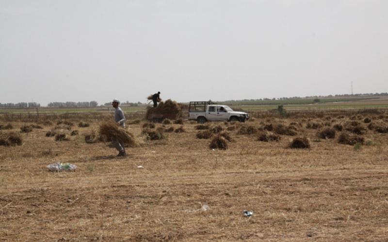 صور: المواطنون يمارسون أعمالهم قرب الحدود