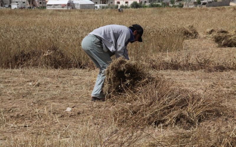 صور: المواطنون يمارسون أعمالهم قرب الحدود