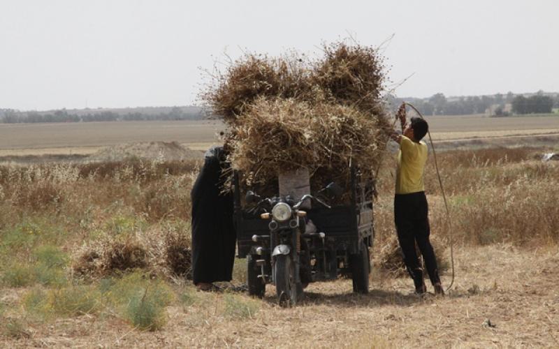 صور: المواطنون يمارسون أعمالهم قرب الحدود