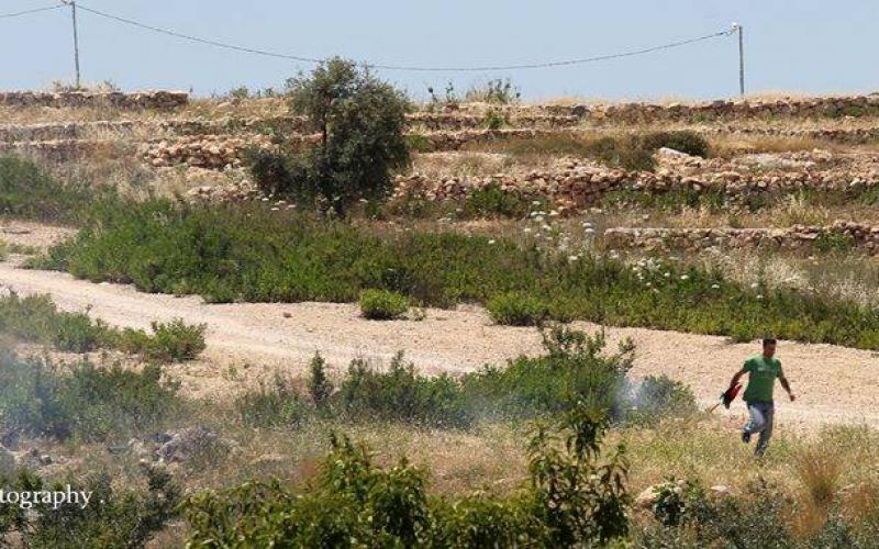 صور: الاحتلال يقمع مسيرة "بلعين" بالضفة