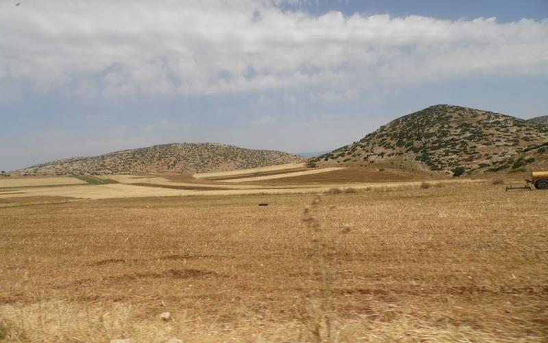 صور: الاحتلال دمر محاصيل زراعية بـ"إبزيق"