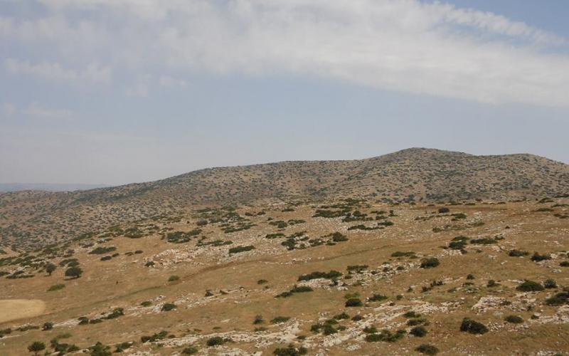 صور: الاحتلال دمر محاصيل زراعية بـ"إبزيق"