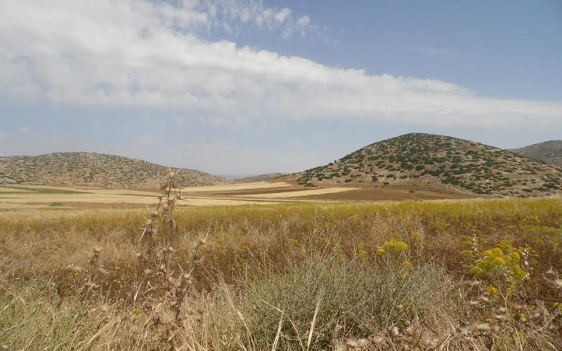 صور: الاحتلال دمر محاصيل زراعية بـ"إبزيق"