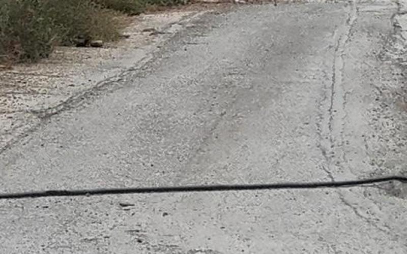 بالصور: إصابة مواطن واعتقال آخر باقتحام قلنديا
