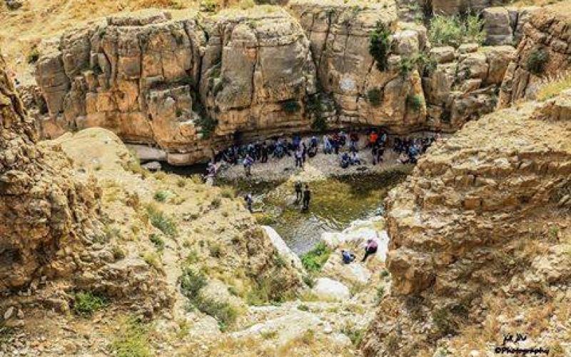 ‫صور‬: من الأغوار الشمالية بالضفة المحتلة