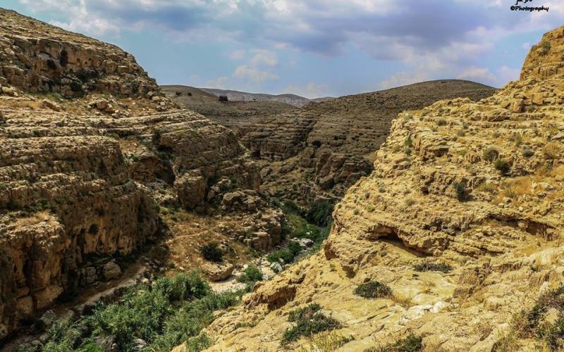 ‫صور‬: من الأغوار الشمالية بالضفة المحتلة