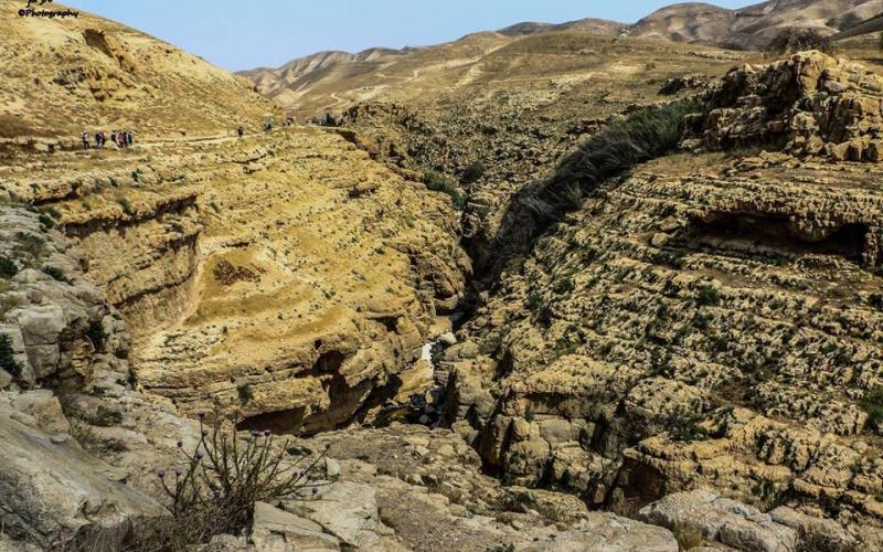‫صور‬: من الأغوار الشمالية بالضفة المحتلة