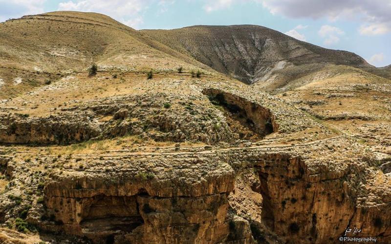 ‫صور‬: من الأغوار الشمالية بالضفة المحتلة