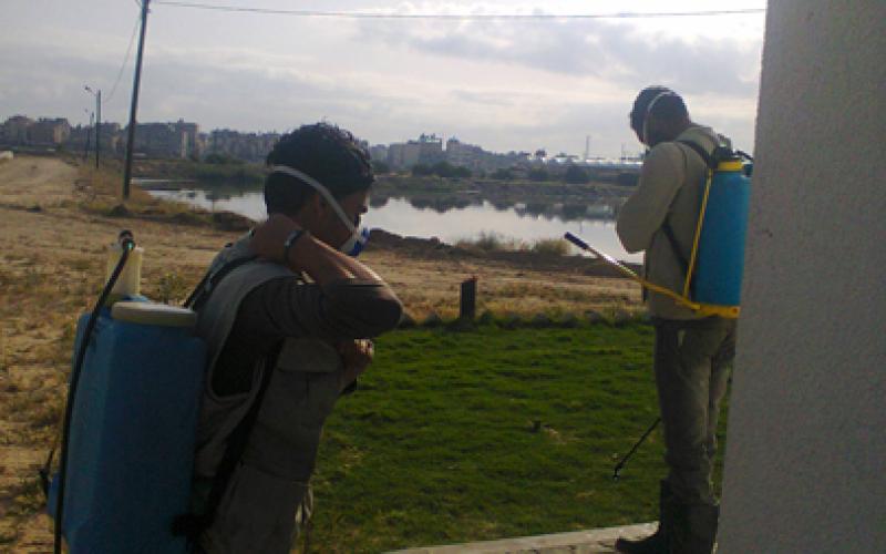 بلدية رفح تشرع بحملة مكثفة لمكافحة البعوض