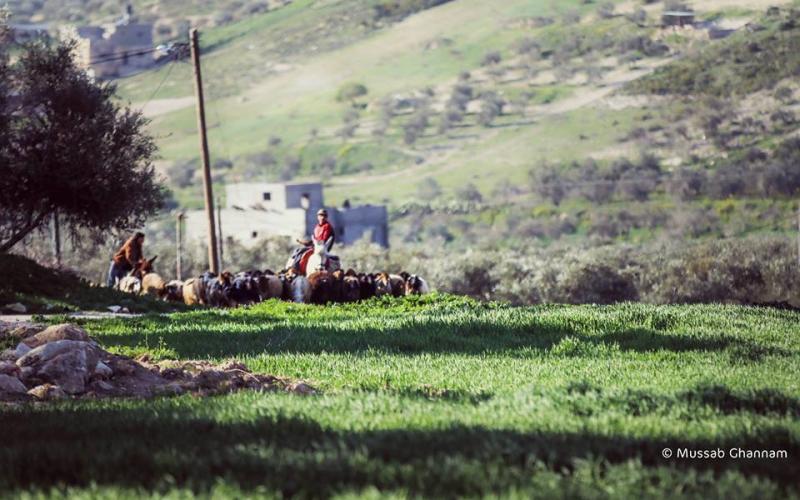 صور: بلدة جبع جنوب مدينة جنين