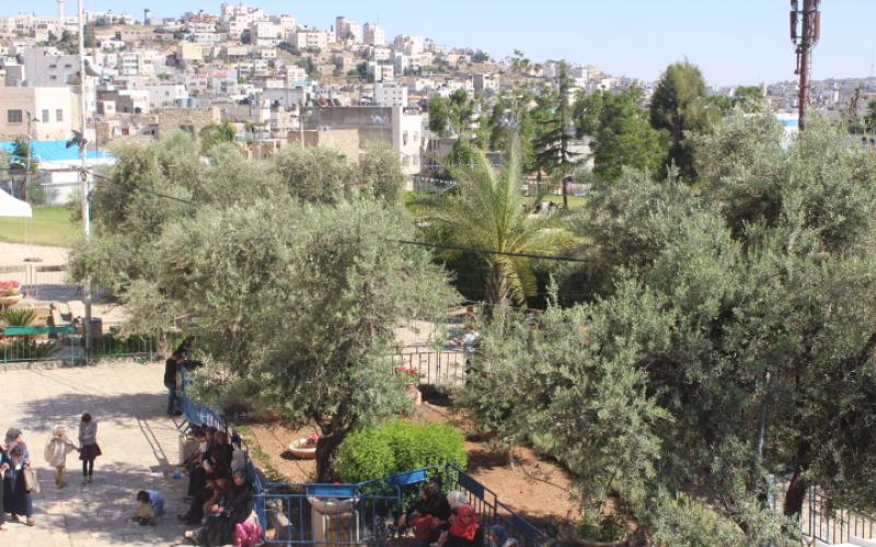 صور:  احتفاء بذكرى الإسراء والمعراج في الخليل