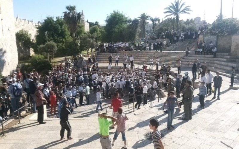صور: مستوطنون يقتحمون الأقصى بالجملة