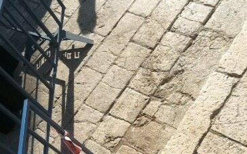 صور: مستوطنون يقتحمون الأقصى بالجملة