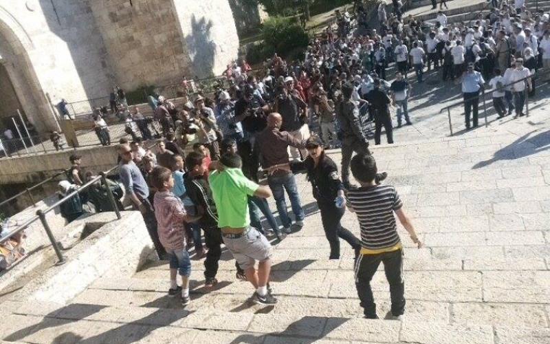 صور: مستوطنون يقتحمون الأقصى بالجملة