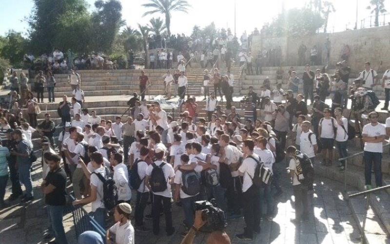 صور: مستوطنون يقتحمون الأقصى بالجملة