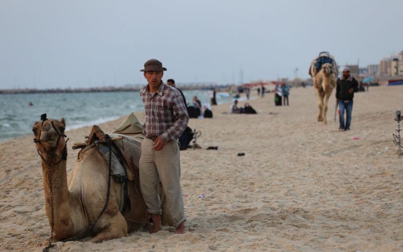 صور: الاستجمام وقت الغروب على شاطئ غزة