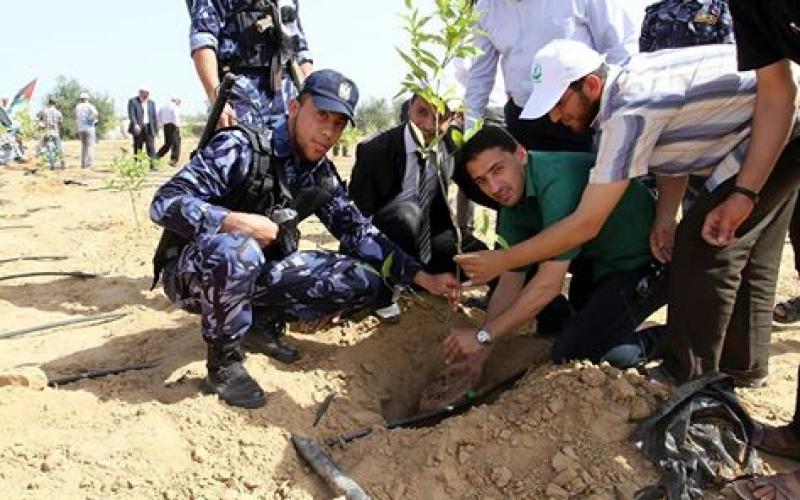 صور: في ذكرى النكبة