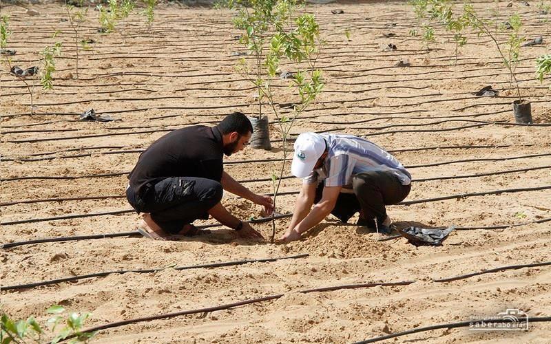صور: في ذكرى النكبة